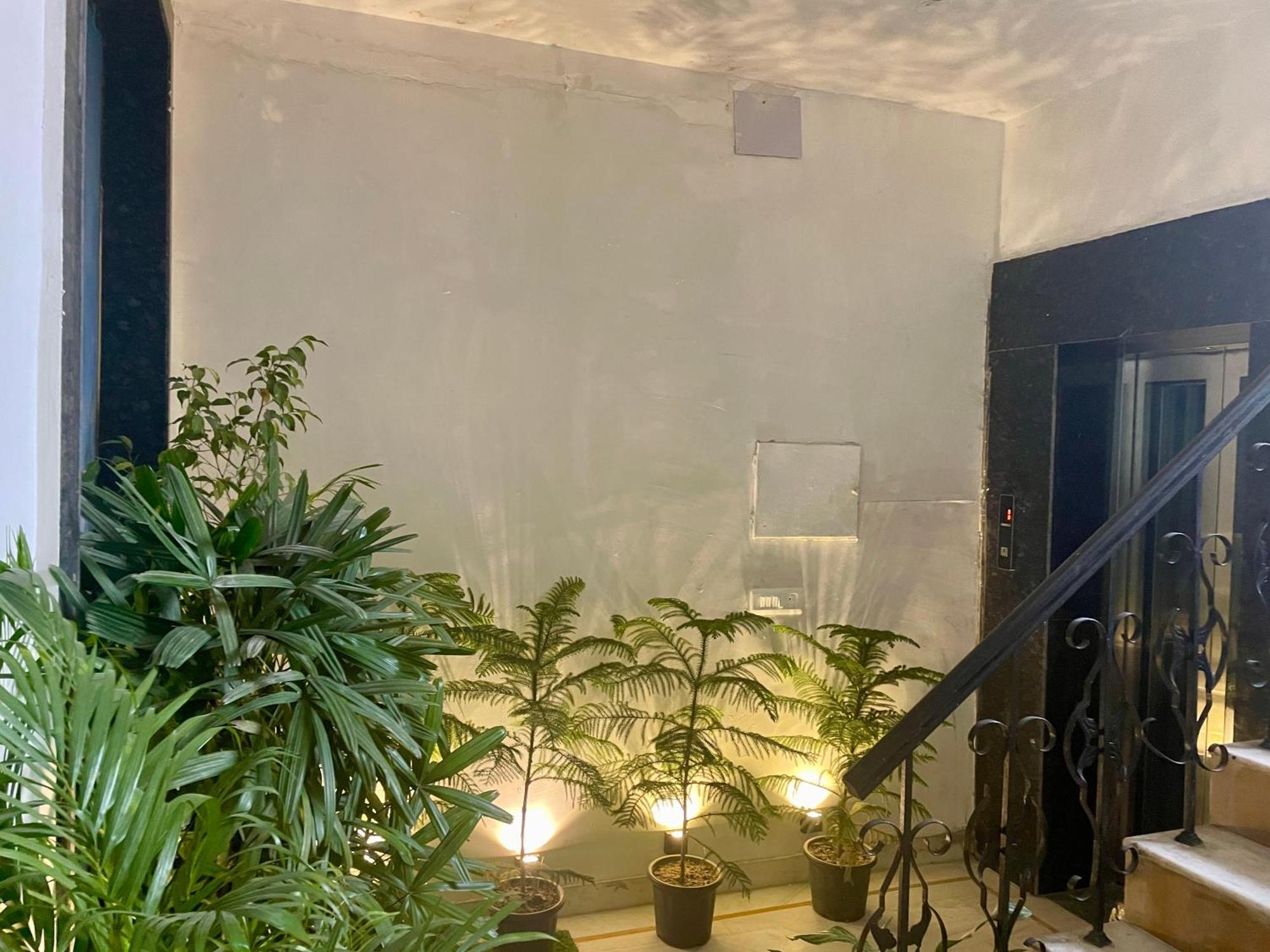 Lime Boutique B&B Gk-1 At Kailash Colony Metro , Greater Kailash Near Eros Hotel Nehru Place New Delhi Eksteriør billede